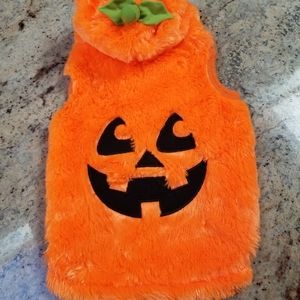 Dog Halloween costume